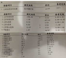 病程拖延越长,抗病毒治疗越不理想,乙肝小三阳应早监测指标异常