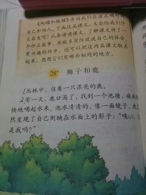 读了狮子和鹿,你的体会是什么 