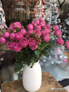 10款泡泡玫瑰品种介绍,每一款都是既好看又好卖的品种