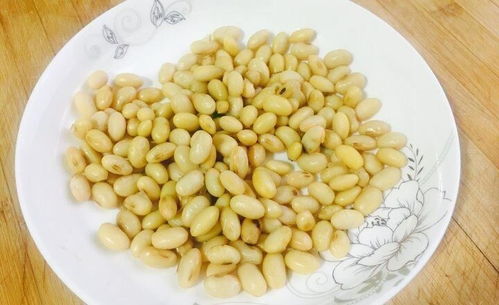 米兰用什么肥料最好,炒熟的黄豆能作为肥料放在米兰的土里吗？