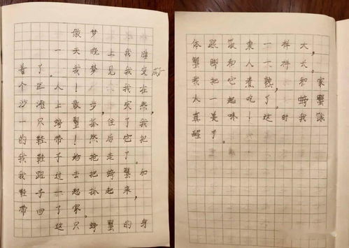 我变成了什么想象作文(写一篇想象作文我变成了什么)