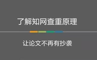 知网查重标黄要改不