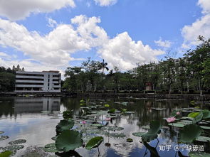 广东本科大学排名