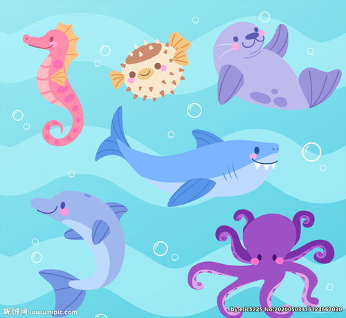 6款可爱 海洋动物设计图片 