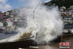 台风 摩羯 今天登陆浙江 上海或有7至8级大风