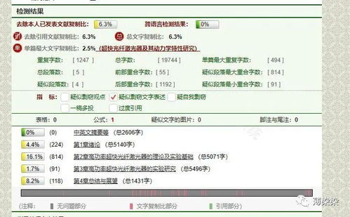 知网夜间查重