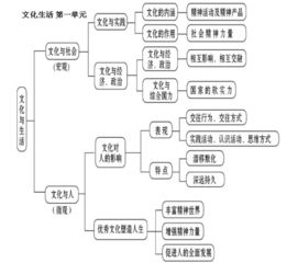 高中政治生活的知识框架图