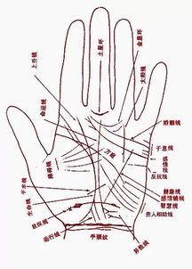 2015年桃花运爆表的6大手相