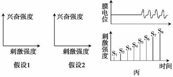 5.果蝇的体色由常染色体上一对等位基因控制.基因型BB.Bb为灰身.bb为黑身.若人为地组成一个群体.其中80 为BB的个体.20 为bb的个体.群体随机交配.其子代中Bb的比例是 