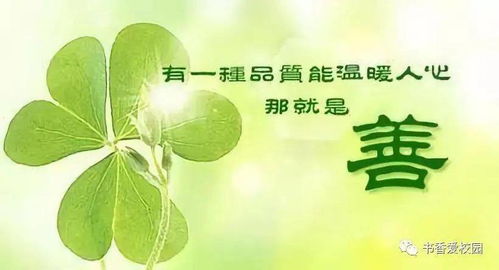 积累福报范文,善良孝顺的人福报多的句子？