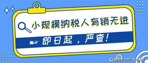 哪些实业项目适合小规模做呢