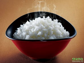 米饭吃多了会不会胖