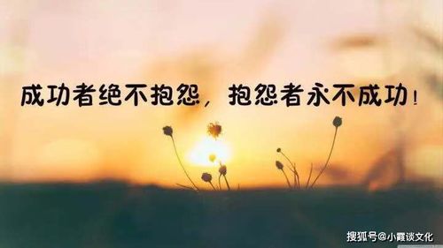 落魄要成功励志名言  落魄后的经典句子？