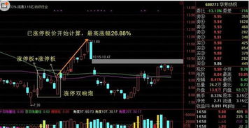 打鱼庄家应该掌握哪些基本知识？