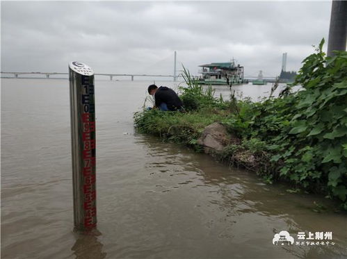 长江2号洪水预计24小时内抵荆