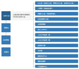 会员大会是会员制证券交易所的决策机构这句话正确不