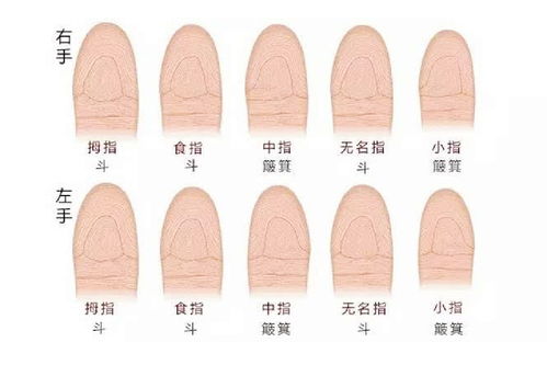 俗语 十指簸萁没有斗,只往外簸没处装 是什么意思 有道理吗