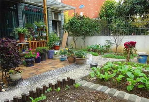 退休女教师花6年,亲手打造80㎡梦境花园