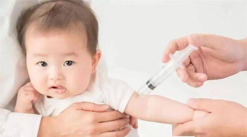 婴儿疫苗接种(需要打的疫苗有哪些)