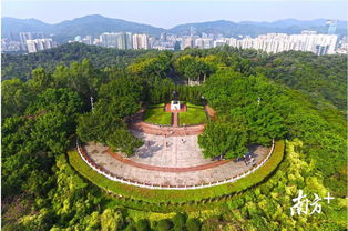 深圳八大免费景点公园推荐(去莲花山有没有免费停车场)