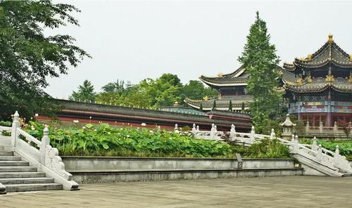 四川香火最兴旺的寺庙,号称峨眉山第一门户,也是最灵验的寺庙