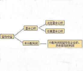 企业刚成立时哪来的留存收益？