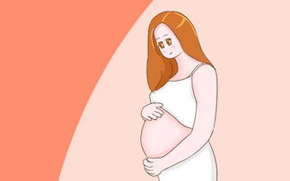 孕期,如果你 显怀 时间很早,可能与这2个方面有关