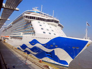 上海出发邮轮预定 盛世公主号游轮旅游价格 栖游记旅行网 