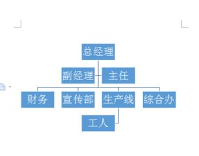 怎么绘制漂亮点的公司机构组织结构图 