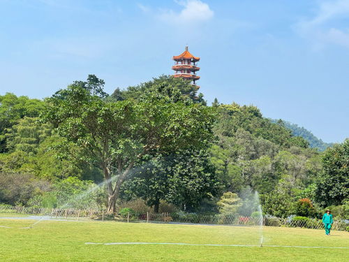 旅游记录分享 仙湖 算命 