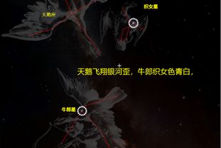 星座与星空