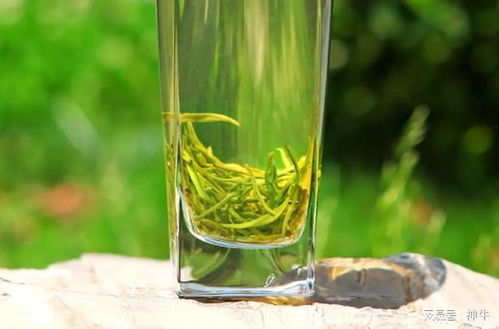 绿茶 6大香型 代表茶叶,这6种有你喝过的吗 你更喜欢哪种味