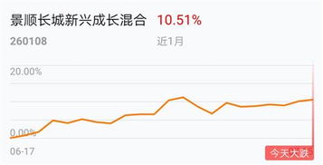 景顺长城新兴成长股票基金适合定投吗