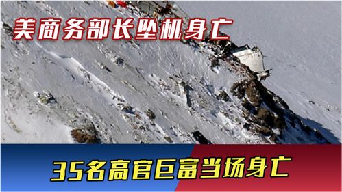 美商务部长坠机身亡,35名高官巨富当场身亡,凶手内幕浮出水面 