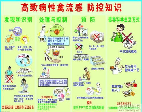 h7n9预防措施，H7N9型禽流感的预防措施
