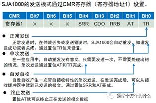 一文详解：知网查重的收费机制与流程