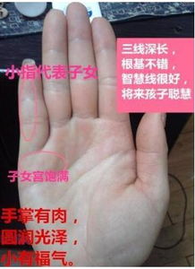 将来你的子女缘如何,看手相子女宫,若子女宫饱满,孩子聪慧