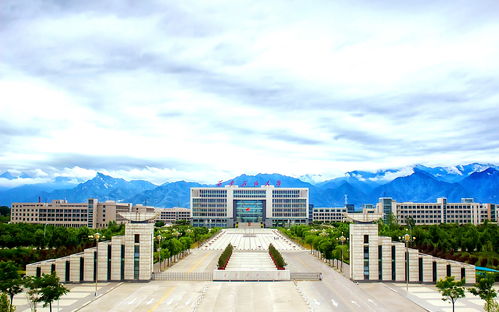 北京大学国家一流本科专业