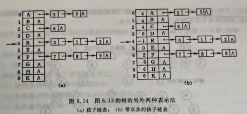 数的双亲表示法知识点