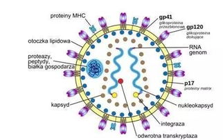 生物谷推荐 7月必看的重磅级研究Top10