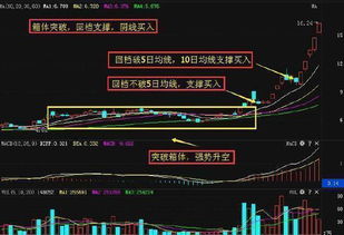 横盘一个月后放量涨停第二天低开放量收阴线是怎么回事?