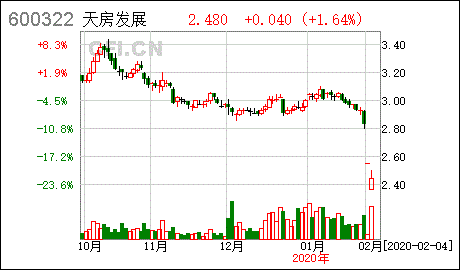 天房发展持股股东中，境内自然人 洪泽君是谁