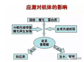 热应激是咋回事 一组简图带您看明白热应激对蛋鸡的危害 