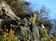 香山旅游 香山旅游攻略 香山旅游景点 