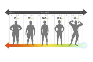 健身肌肉数据追踪器 实施测量身体健康状况