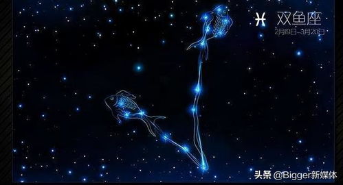 双鱼星座形象特点分析图(双鱼座的性格特点)