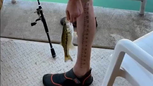 大哥的搞笑纹身是用来量鱼的尺寸 