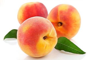 夏天吃桃子好处多多,但吃桃子7大禁忌,怎么预防吃桃子过敏