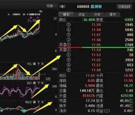 600050现在全仓了~~平均价6.9元------想问后市发展状态（2月2号）