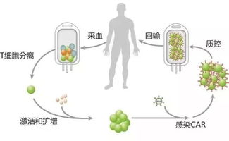 弈投圈 微课堂9 美国在癌症药物靶向治疗的研发进展